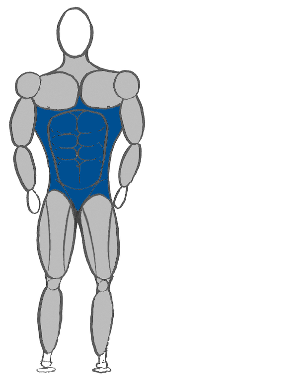 Vorderseite_Bauch.png
