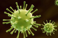 Newsticker zum Hochschulsport und Coronavirus