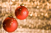 Wir wünschen allen fröhliche Weihnachten | News zu aktuellen Themen