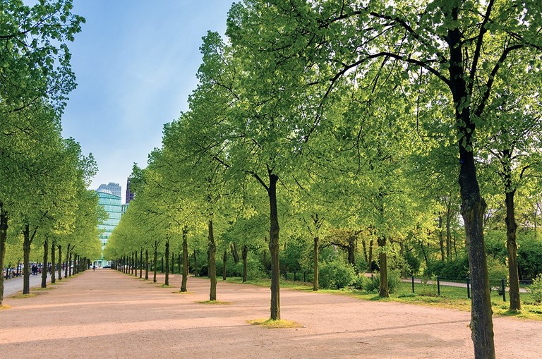 Tiergarten_Ebertstraße.jpg
