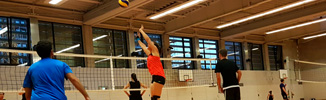 Uniliga Volley_326x100.jpg