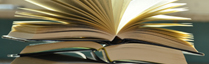 Bildung_Startseite_engl_209x64.jpg